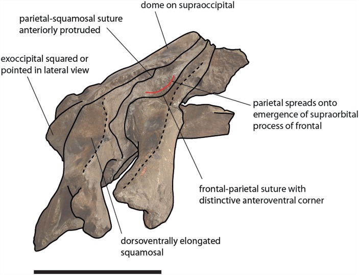 Figure 13