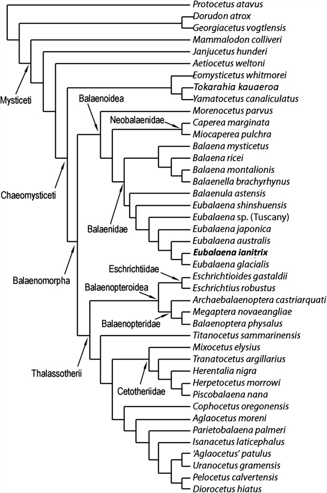 Figure 12