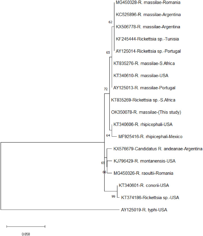 Fig 1