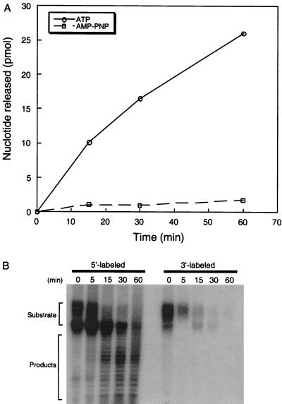 FIG. 5