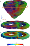 Fig. 8