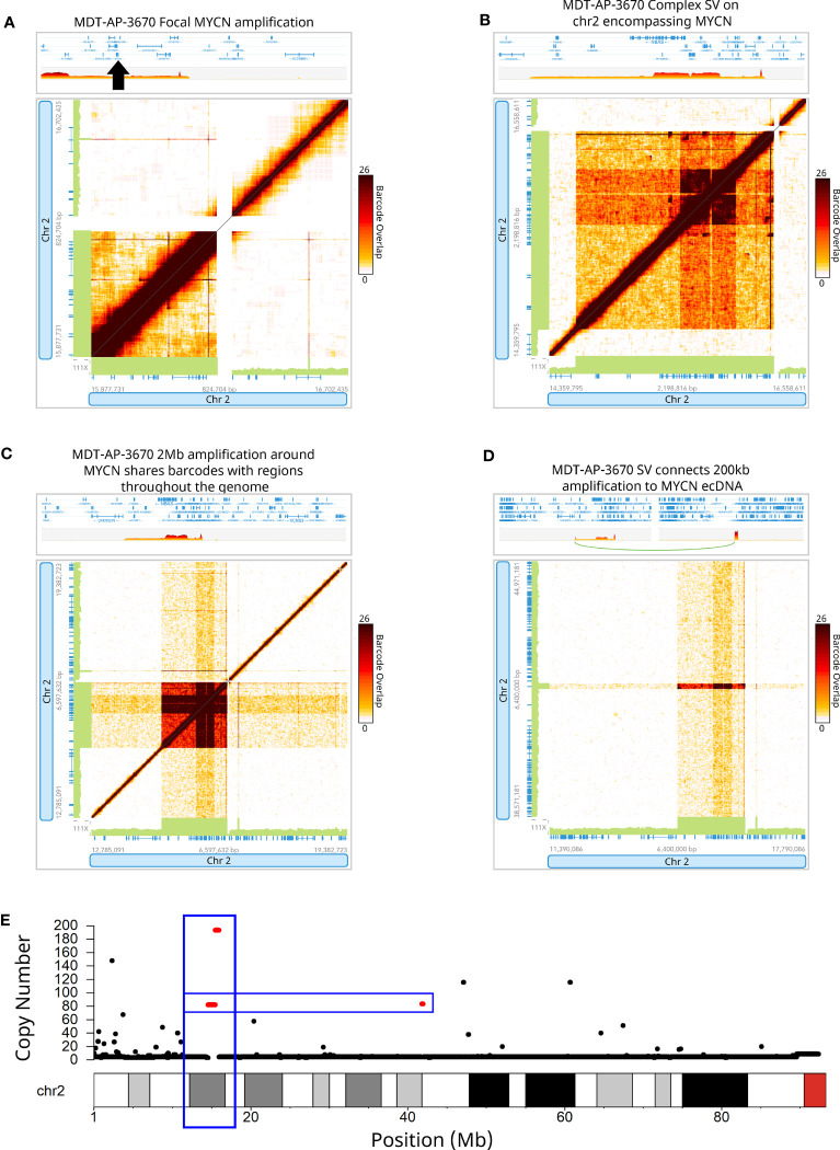 Figure 3