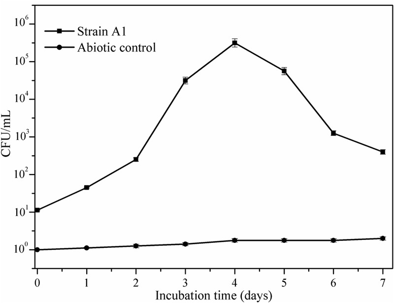 FIGURE 5