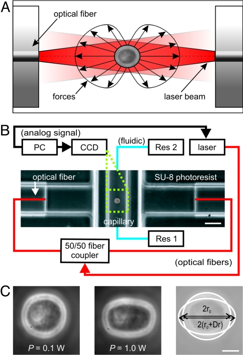 Fig. 1.