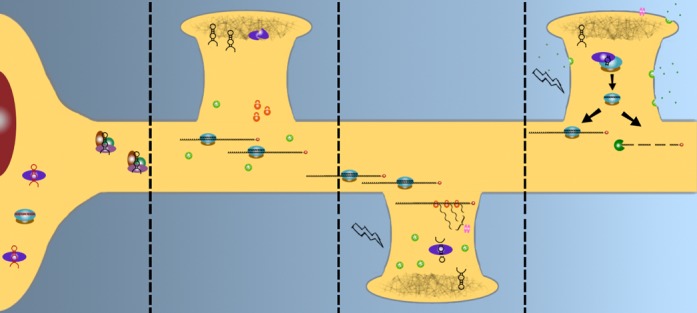 Figure 7.