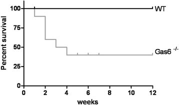 Fig. 9