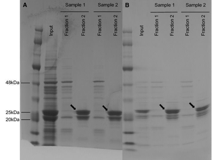 Figure 1