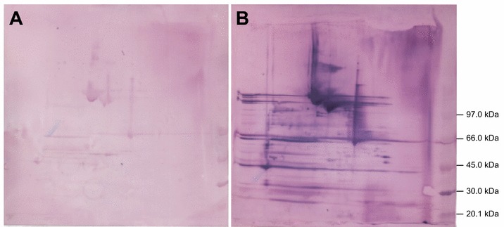 Figure 5