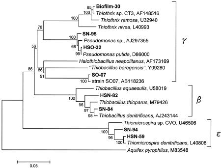 FIG. 6.