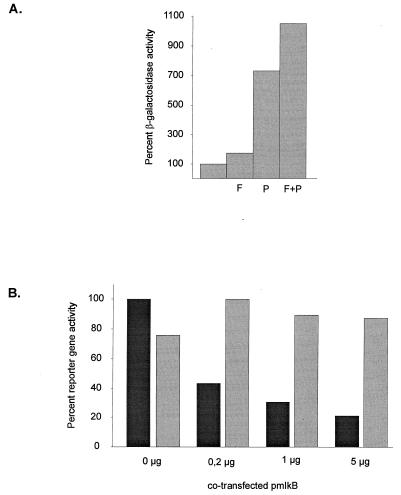 FIG. 5