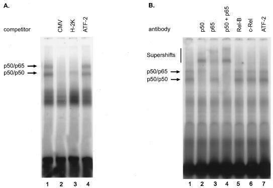 FIG. 7