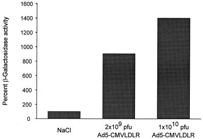 FIG. 8