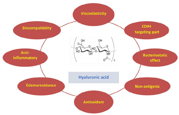 The image presents the Structure and function of Hyaluronic acid (HA). The HA molecule is composed of repeating disaccharides of glucuronic acid and N-acetyl glucosamine, linked by a bond. The HA has multiple functions, including viscoelasticity, anti-inflammatory action, biodegradability, bacteriostatic effect, nonantigenic nature, edemaresistance, and antioxidant. Additionally, the HA molecule has a CD44-targeting part, which allows it to bind to the CD44 receptor on the surface of various cell types, including stem cells, embryonic cells, and cancer cells. This binding has implications for cell migration, proliferation, and differentiation. Furthermore, the HA molecule has a molecular weight of 1.3 to 2.7 megadaltons, making it a large-molecular-weight glycosaminoglycan (GAG).In summary, the image outlines the structure and function of Hyaluronic acid, highlighting its multiple biological and therapeutic roles and its unique interaction with cell receptors.