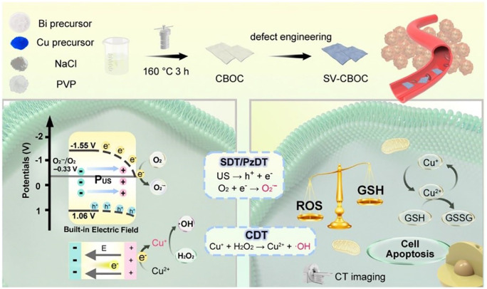 Schematic showing the preparation of surface oxygen deficient copper doped nanosheets.