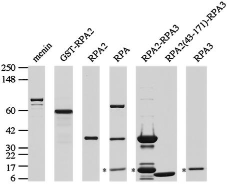 FIG.2.