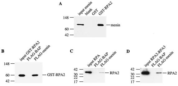 FIG.3.