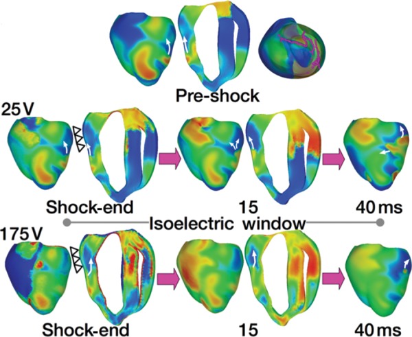 Figure 3