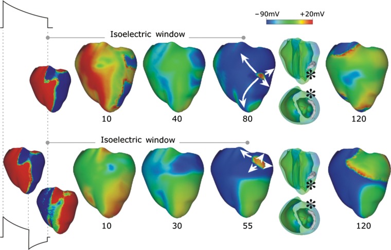 Figure 2