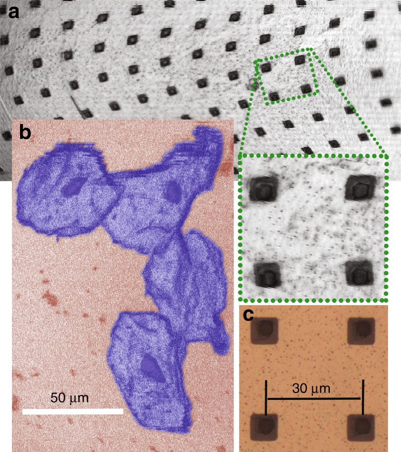 Fig. 3