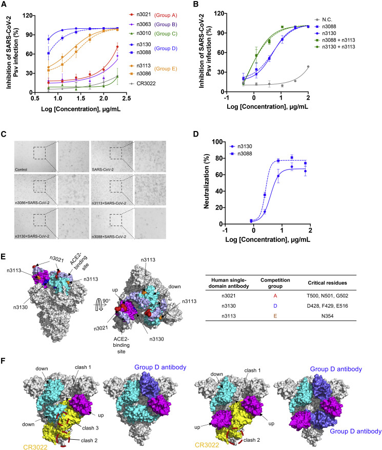 Figure 3