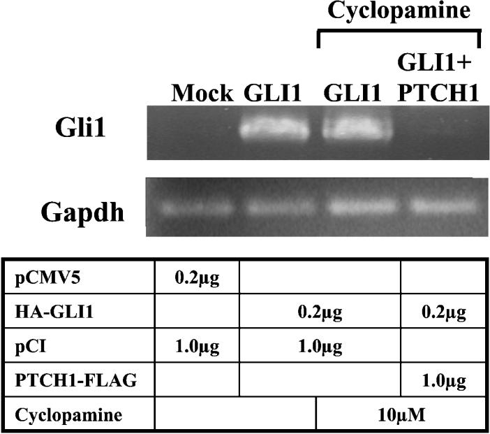 Figure 9