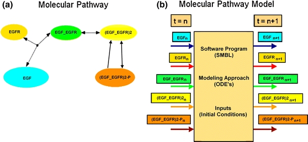 Figure 11