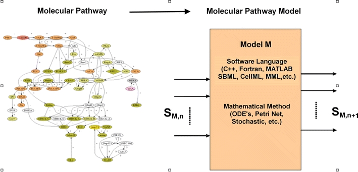 Figure 1