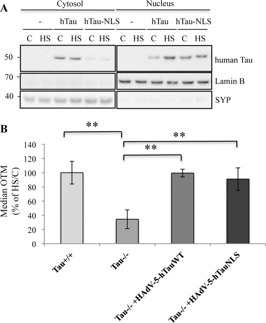 FIGURE 10.