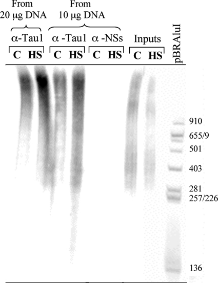 FIGURE 7.