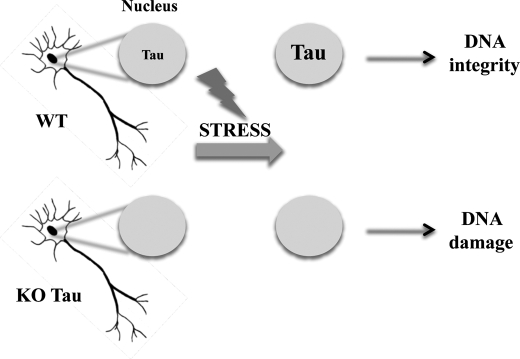 FIGURE 11.