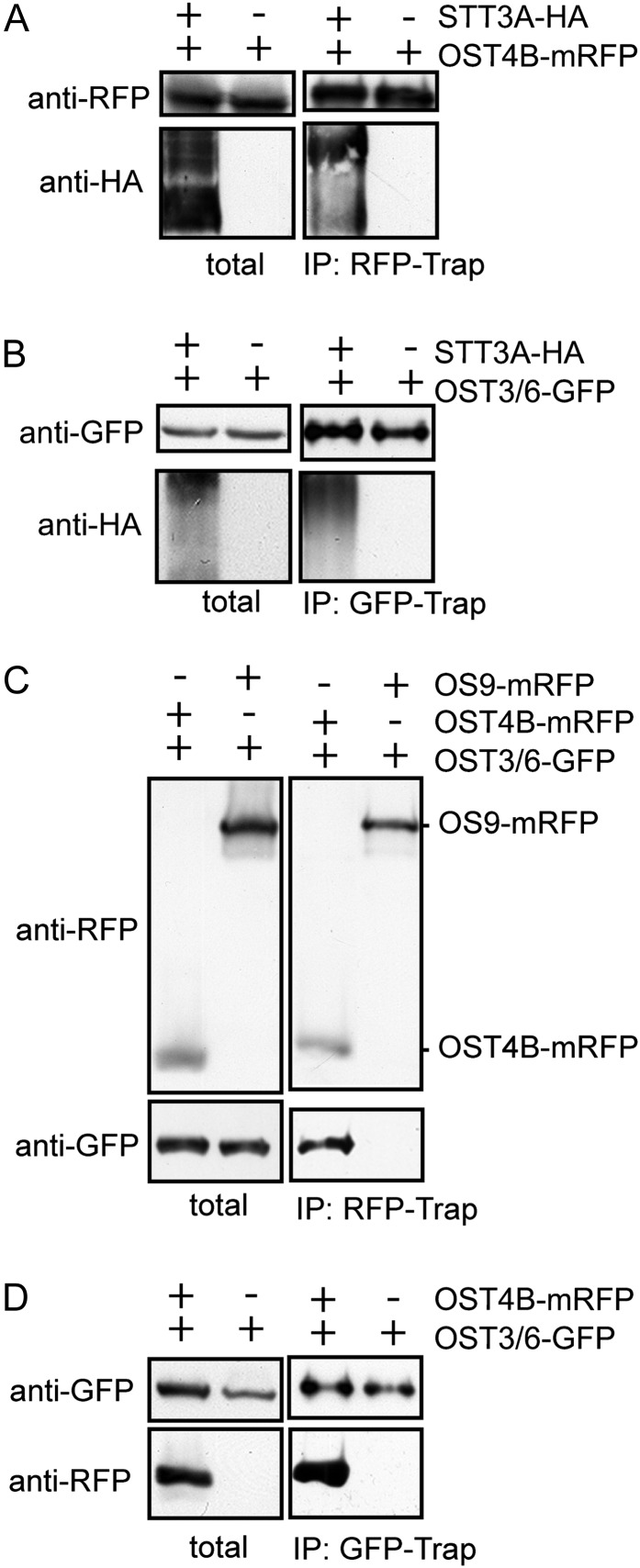 Figure 9.