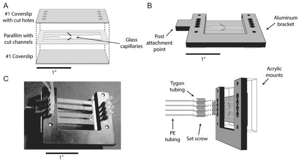 Fig. 8