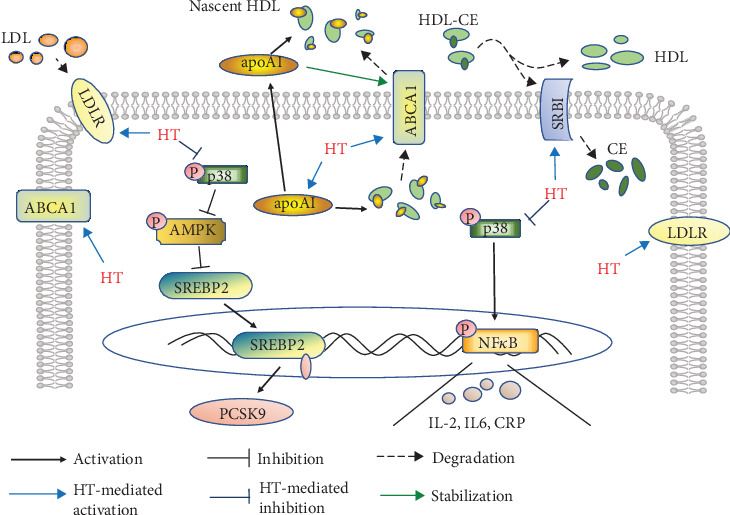 Figure 6