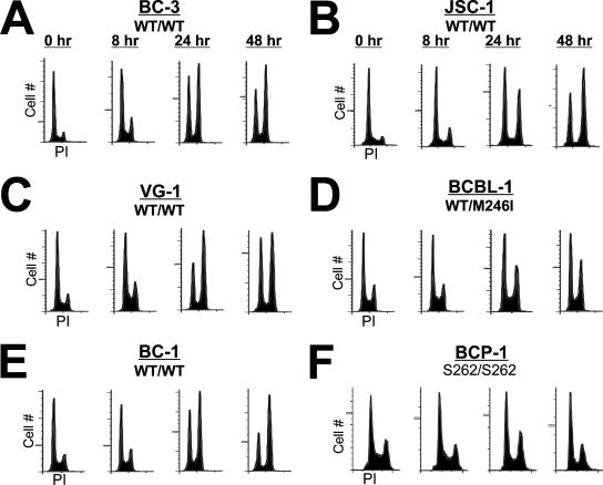 FIG. 2.