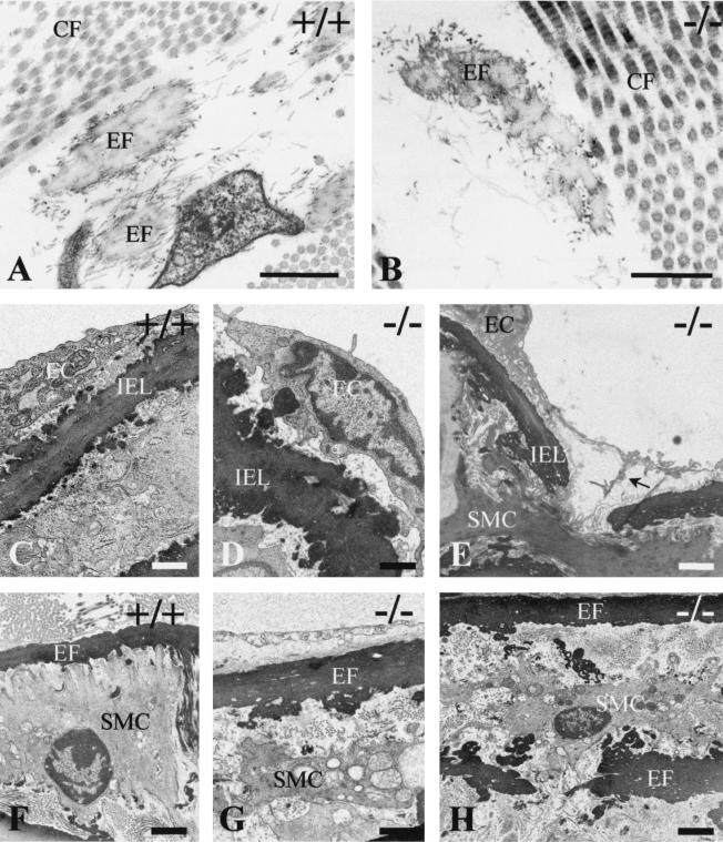 FIG. 5.