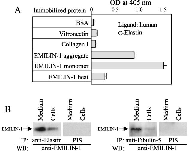 FIG. 8.