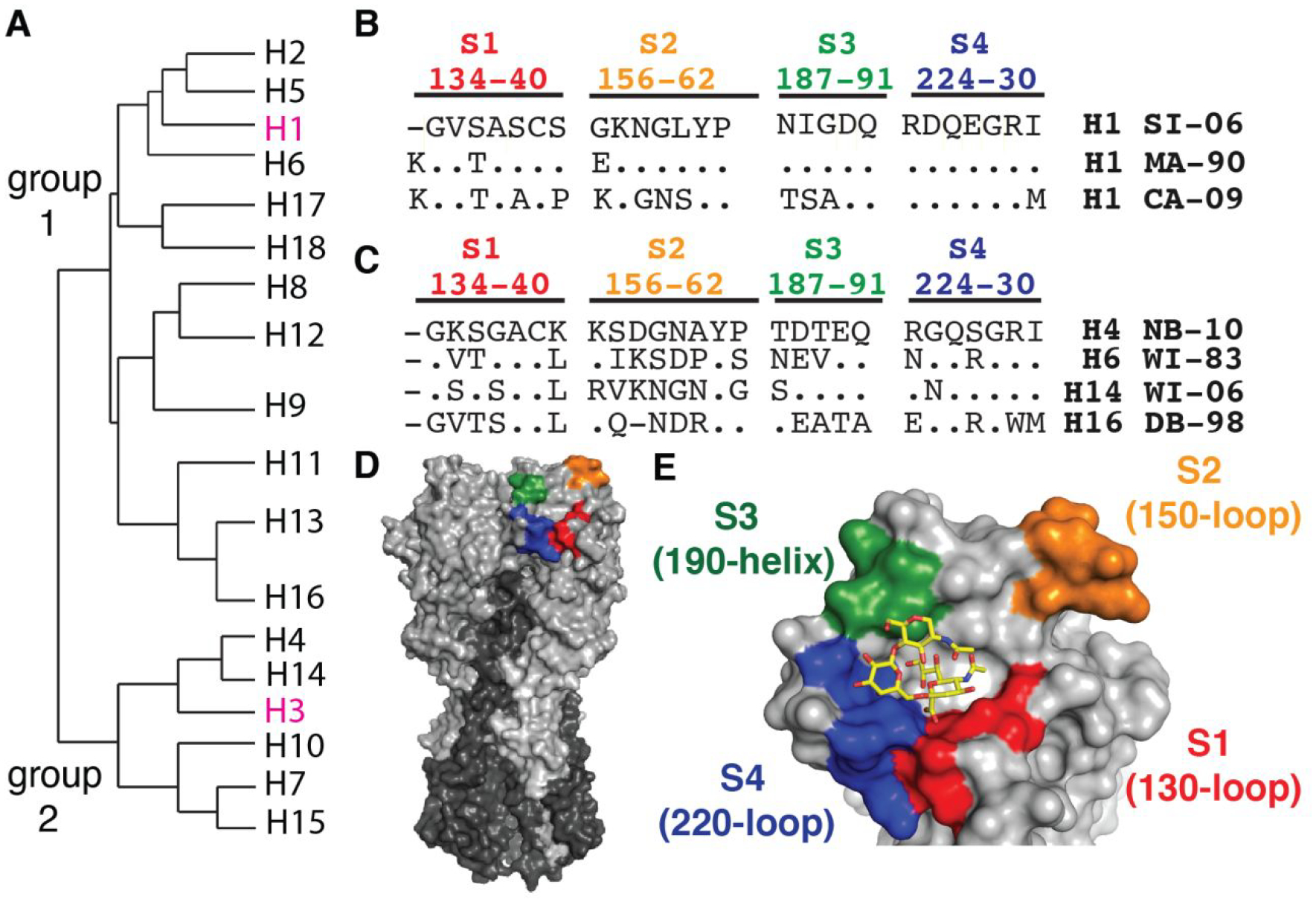 Figure 1: