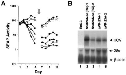 FIG. 8.