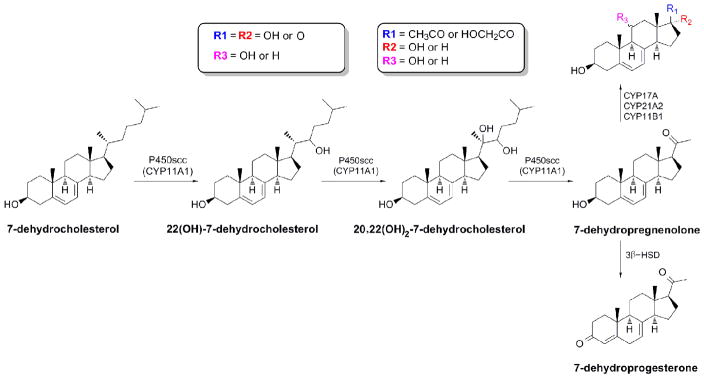 Figure 5