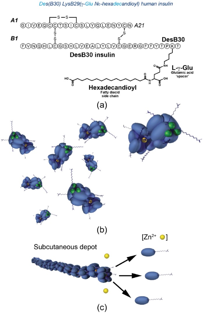 Insulin degludec and insulin aspart: novel insulins for the management ...