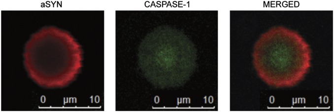 Fig. 4.