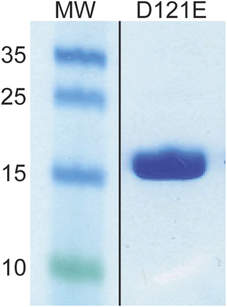 Fig. S3.