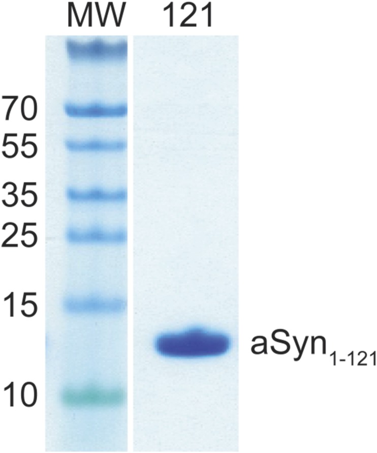 Fig. S4.