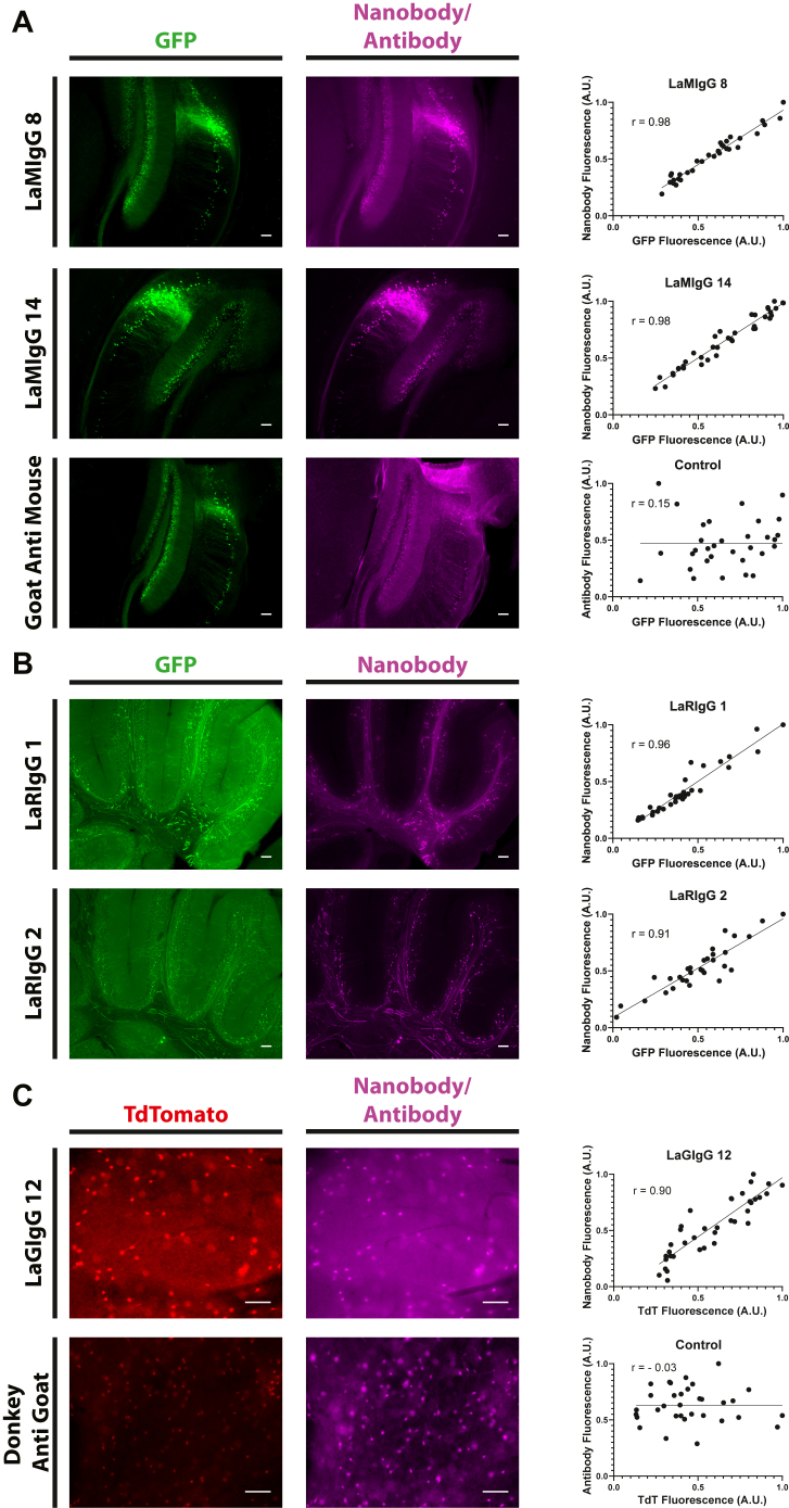 Figure 5