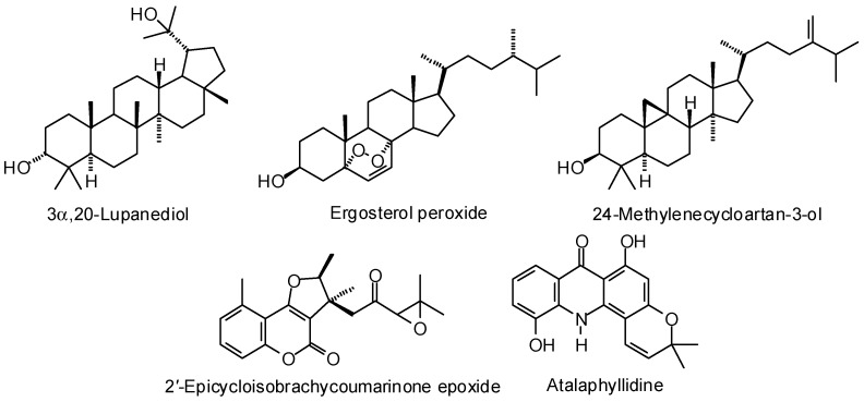 Figure 16