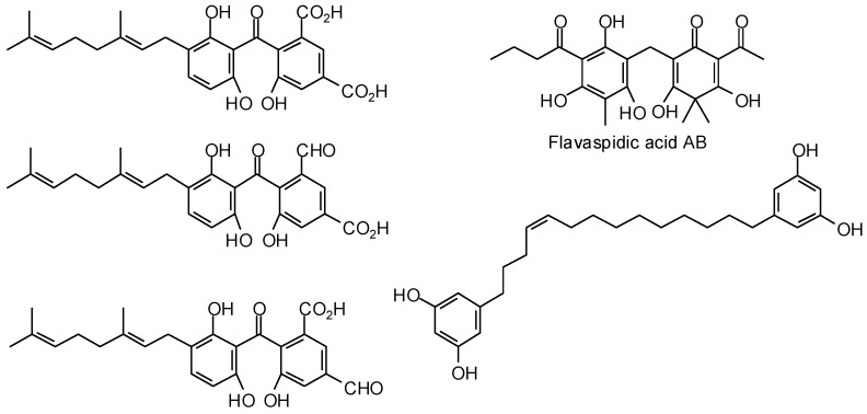 Figure 11