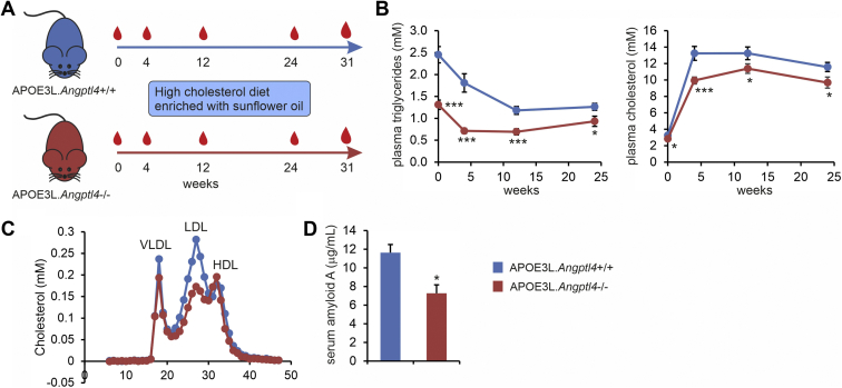 Fig. 2