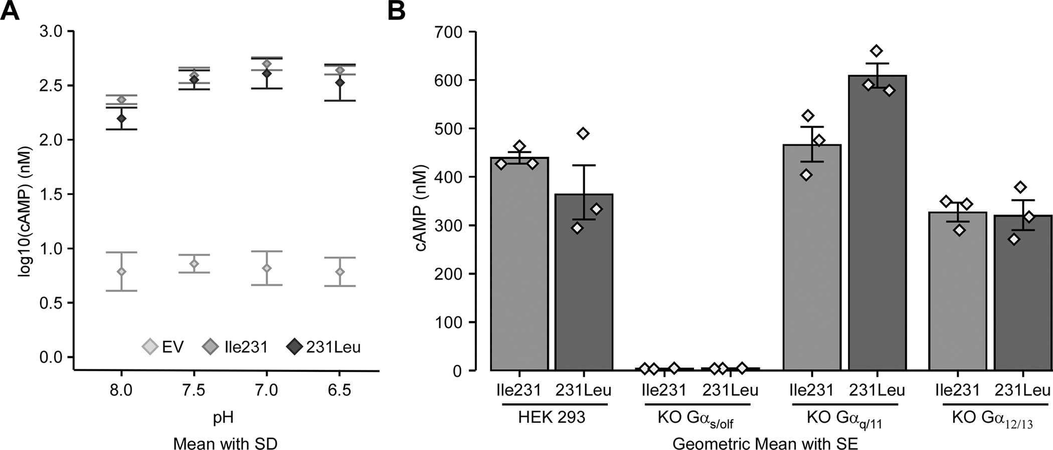 Figure 1 -