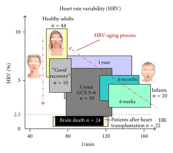 Figure 28