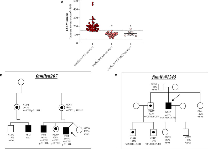 Figure 2